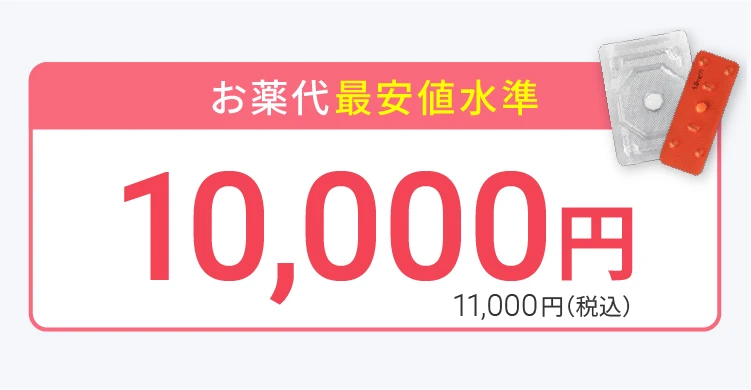 お薬代最安値基準：10,000円 11,000円（税込）